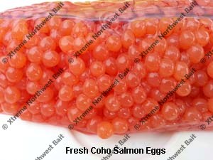 Fresh Salmon Egg, Fresh Salmon Roe, Xtreme Northwest Bait Co